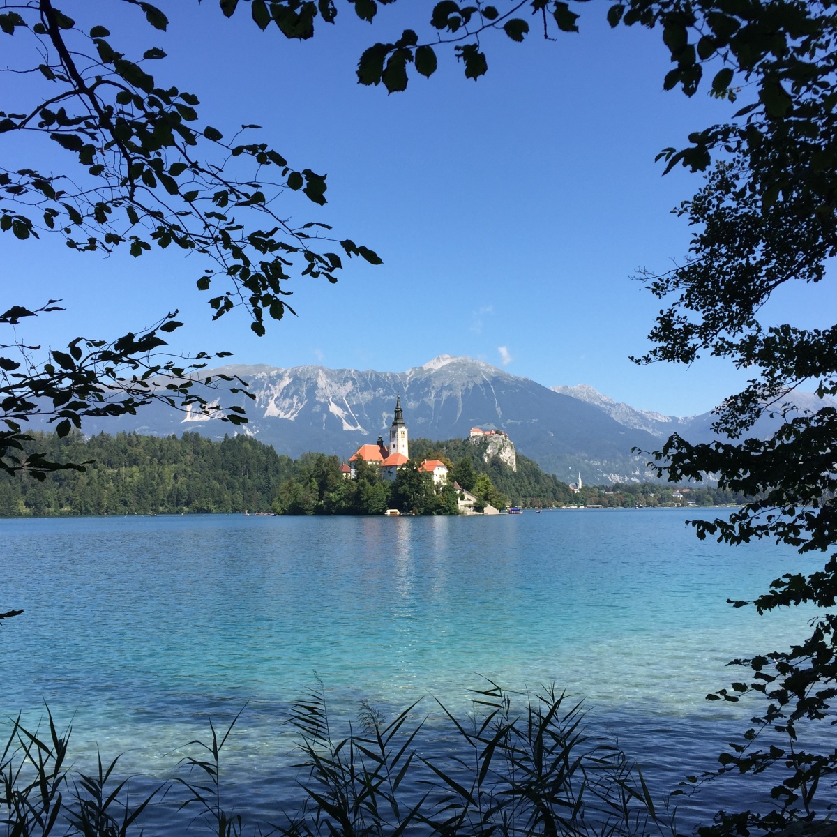 Feature image Touring Slovenia, showing Lake Bled