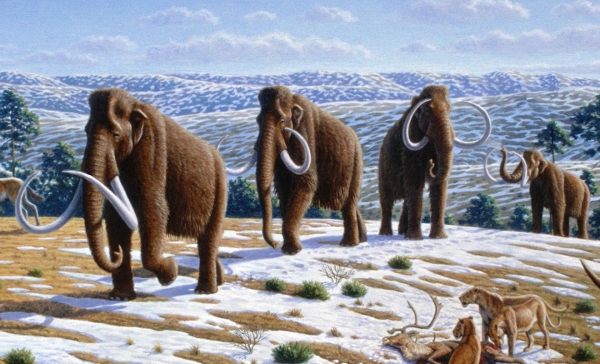 Scientists plan to revive woolly mammoths